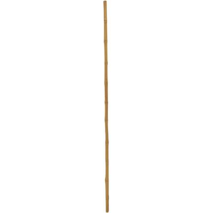 Immagine prodotto Europalms Canna di bambù
