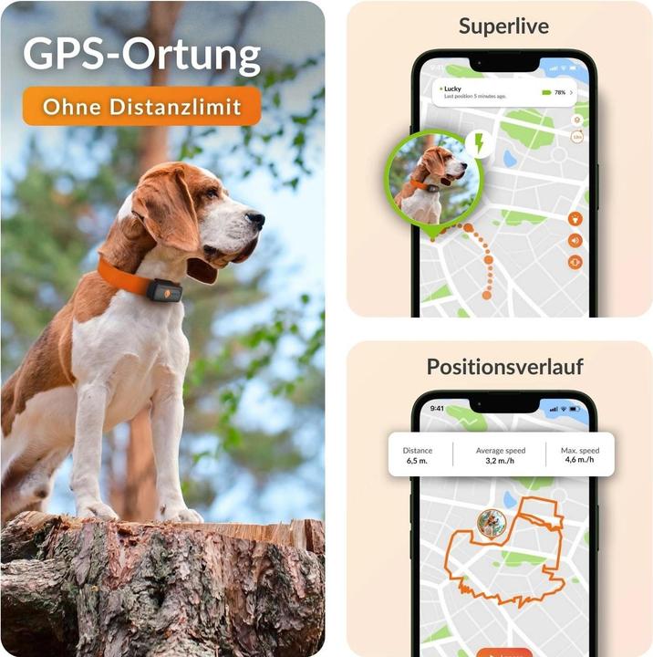 Actual product image Weenect GPS tracker (Dog)