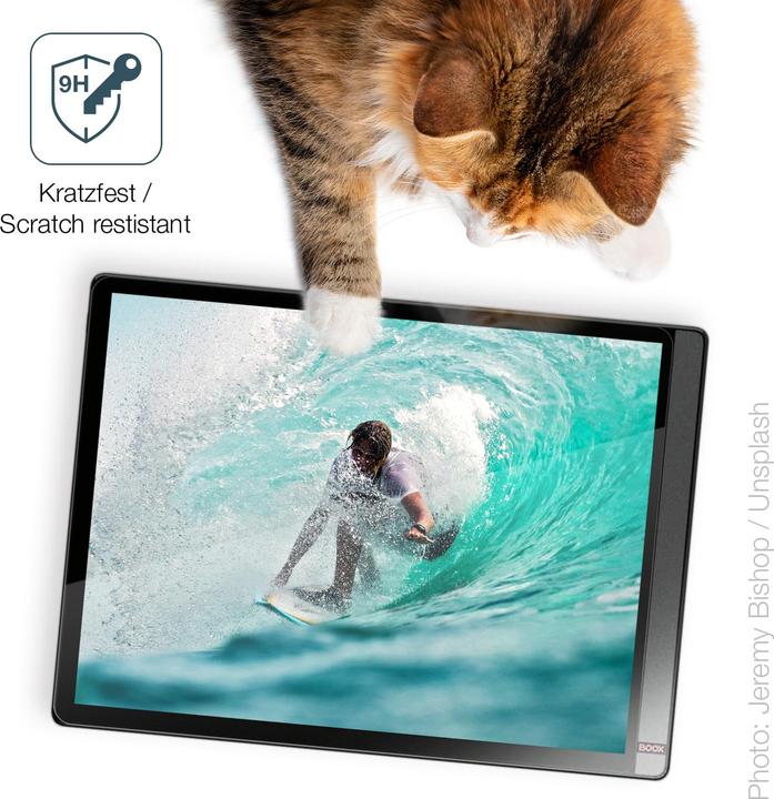 Actual product image Dipos Anti-Shock Screen Protector Clear (Onyx Boox Tab X C)