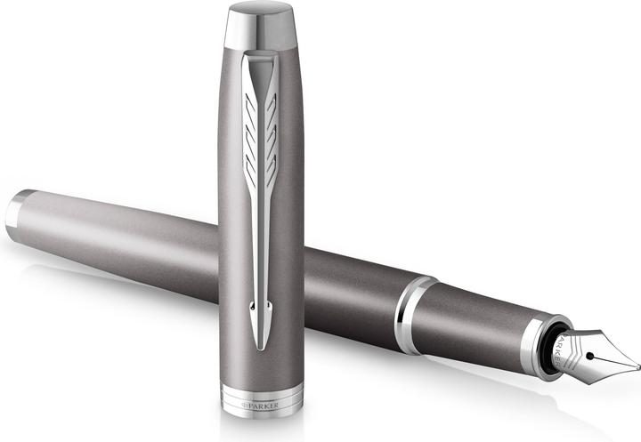 Immagine prodotto Parker Pen Parker IM Writing Rituals stilografica grigia, linea. M (Grigio, 1x)
