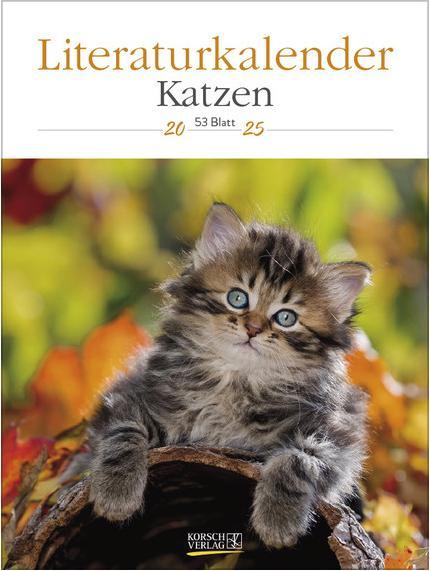 Produktbild Literaturkalender Katzen 2025 (24 x 32 cm, Deutsch)