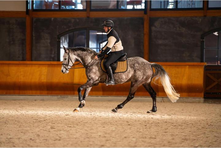 Immagine prodotto Catago Neil (M)