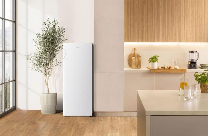 Actual product image Gorenje R4142PW (242 l)