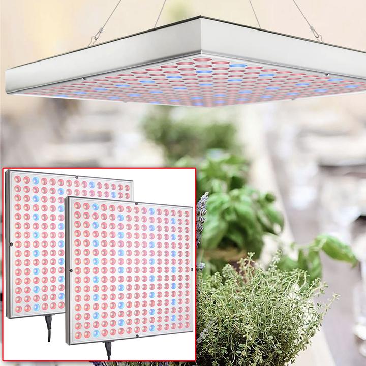 Actual product image Casativo Set of 2 professional plant waxing lamps (LED, 240 V)