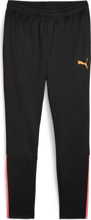 Puma teamLIGA Training Pants (XL)