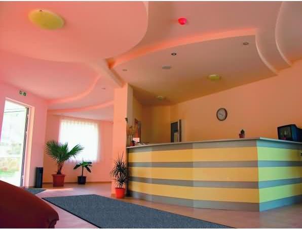 Image du produit kaiserkraft Tapis de propreté pour l'intérieur, poils en nylon High-Twist (115 x 240 cm)