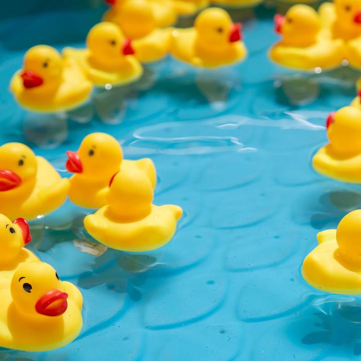 Image du produit Relaxdays 25x canards