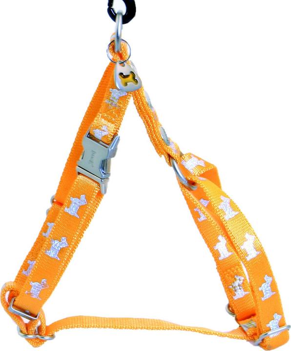 Produktbild Image Happy Angel (S, Hund, Spazieren)