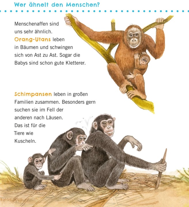 Immagine prodotto Unkaputtbar: Erstes Wissen: Grosse Tiere (Tedesco, Petra Klose, 2021)