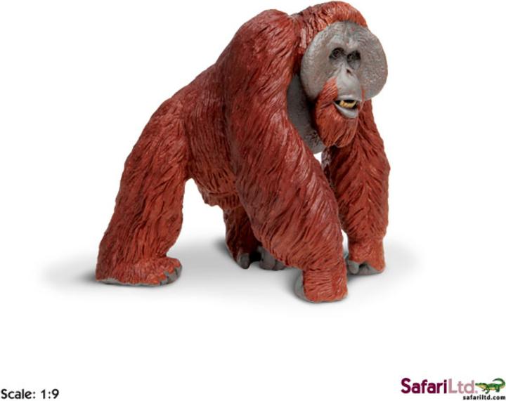 Image du produit Safari Wlw Borneo Orang-outan