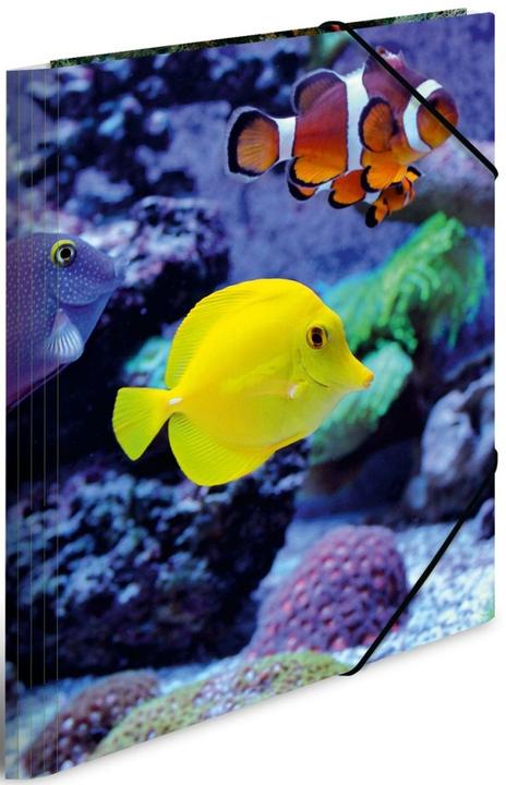 Immagine prodotto HERMA Cartella a motivi A3 (A3, 1 x)