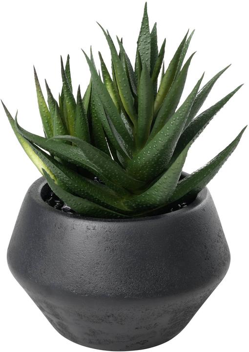 Immagine prodotto EGLO Pianta artificiale (17.50 cm)