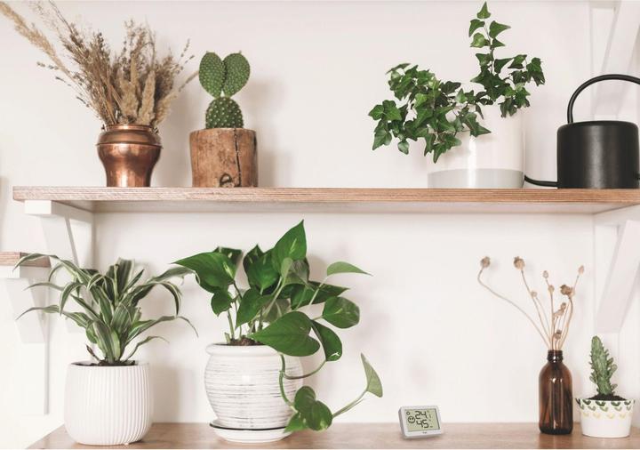 Produktbild TFA Thermo-Hygrometer