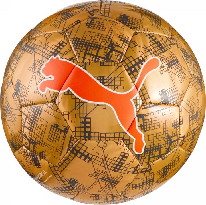 Image du produit Puma CUP Graphic ball (5)