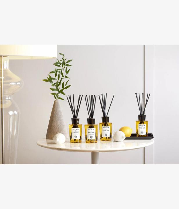 Actual product image Acqua Di Parma La Casa Lago Diffuser (re) (180 ml)