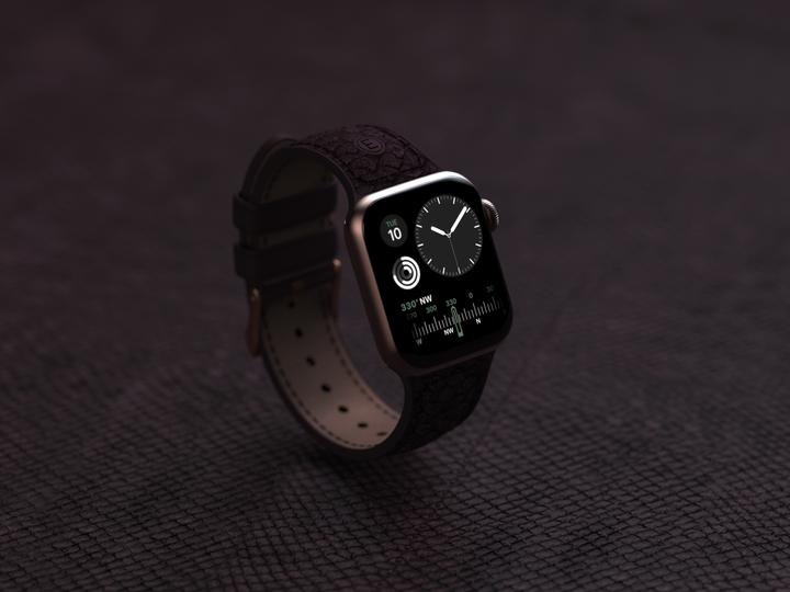 Immagine prodotto Njord Cinturino Per Orologio Eldur (45 mm, 44 mm, Pelle Vegan, Chiusura in acciaio inox, Pelle di salmone)