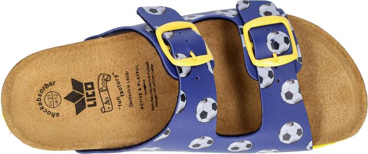 Image du produit Lico Bioline Universe (32)