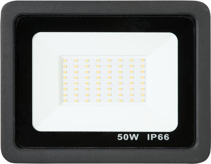 Actual product image Eurolite LED IP FL-50 SMD CW (50 W, LED)