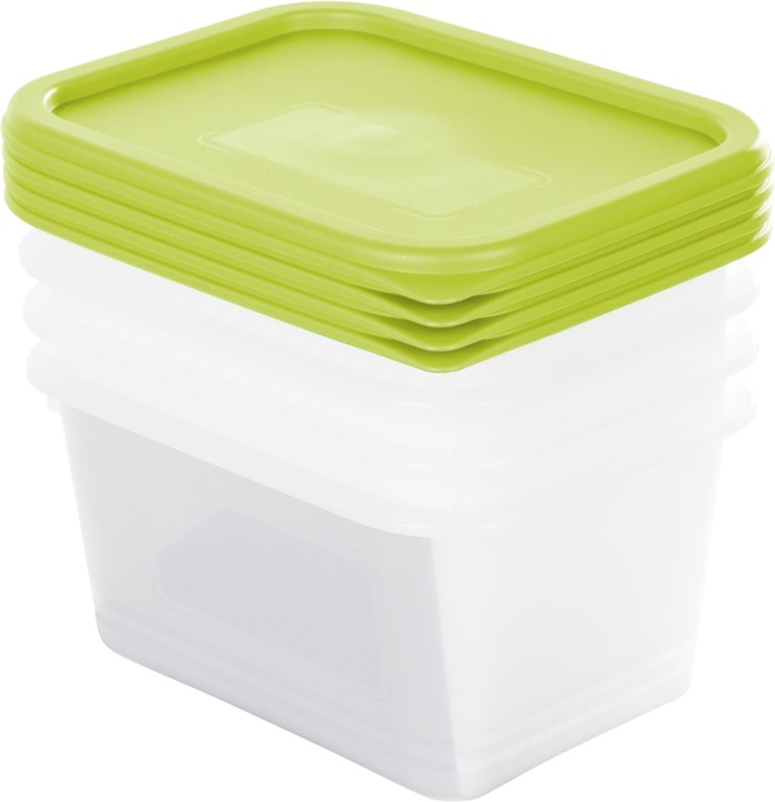 Actual product image Rotho Set of freezer tins DOMINO