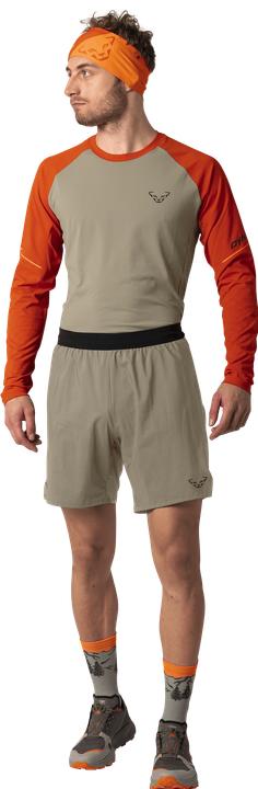Immagine prodotto Dynafit Alpine Pro 2in1 Shorts Herren (S)
