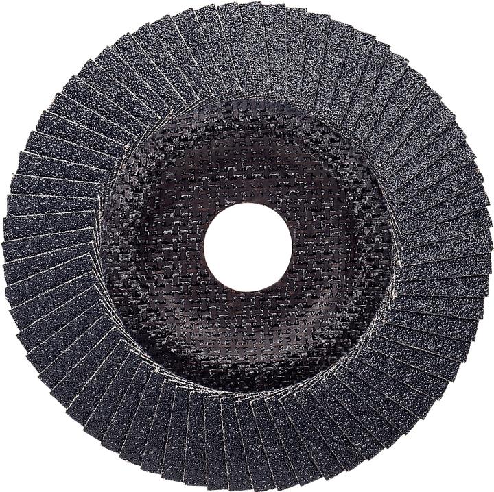 Actual product image Bosch Professional Zubehör Fächerschleifscheibe X551 (80)