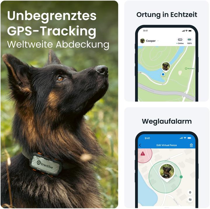 Produktbild Tractive GPS Dog (XL, Hund, Spazieren, Jogging, Hundesport)