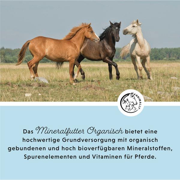Actual product image Annimally Mineralfutter Pellets Organisch