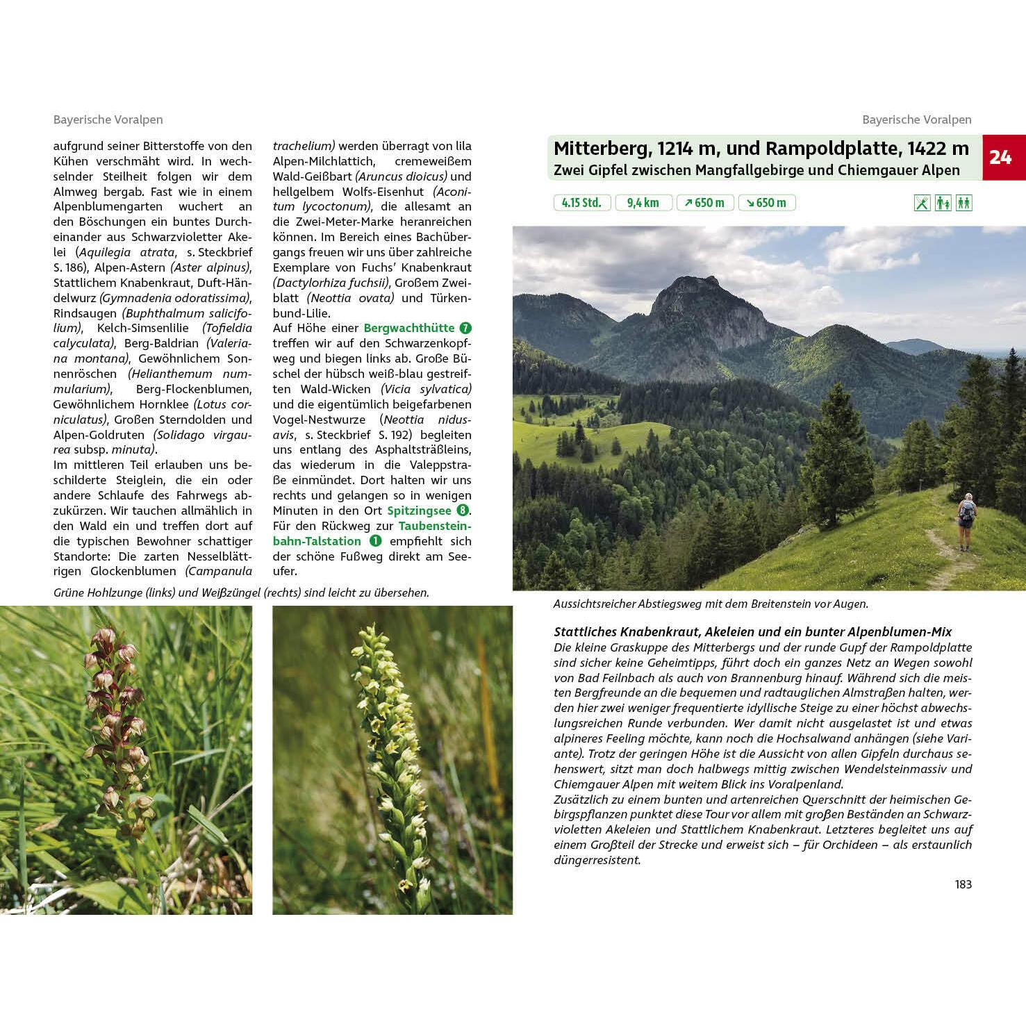 Thumbnail - Blumenwanderungen Bayerische Alpen, Ratgeber von Margit Hiller