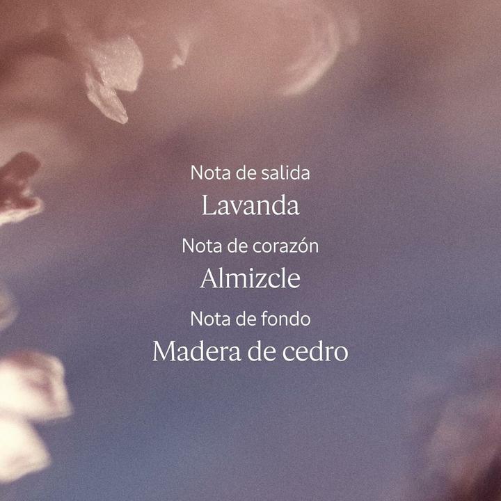 Image du produit L'Occitane LAVANDE BLANCHE Eau de Toilette (Eau de toilette, 50 ml)