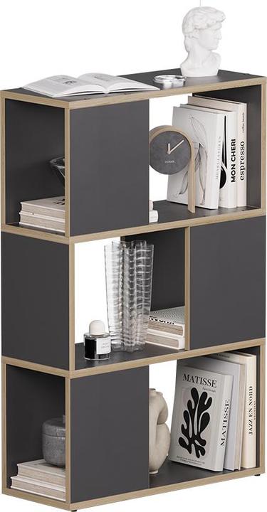 Actual product image Vicco Raumteiler Eneos, Anthrazit/Eiche, 60 x 94 cm