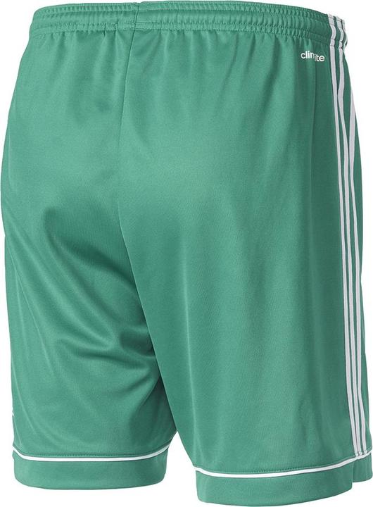 Actual product image Adidas Squadra 17 short (164)