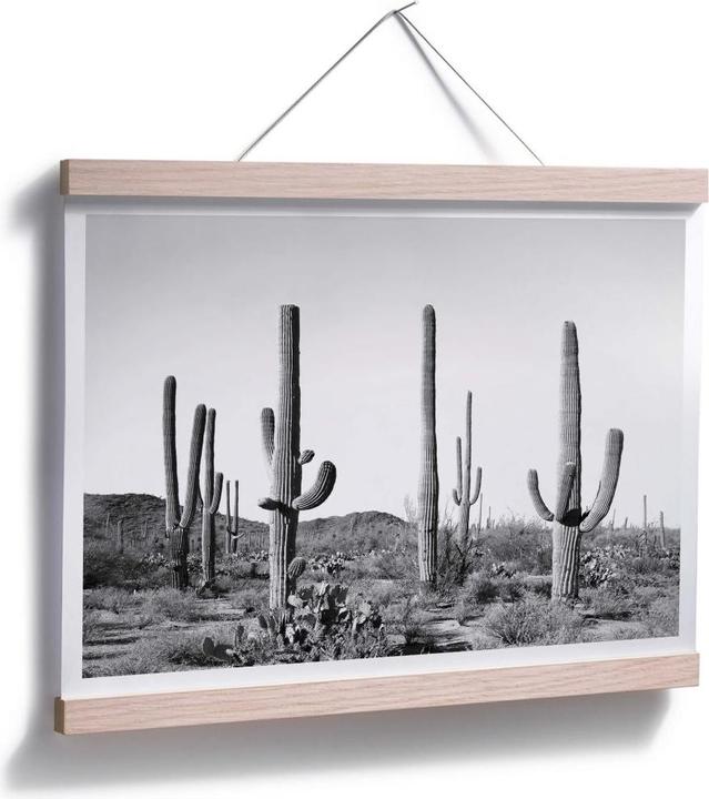Image du produit Trenddeko Cactus dans le désert (50 x 40 cm)