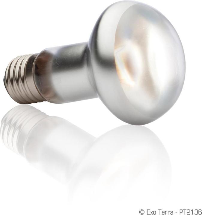 Actual product image Exo Terra Sun Glo Heat Spot Lamp TB 75W (UVB)