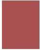 Immagine prodotto Shiseido Rossetto in polvere Modern Mat (505 Peep Show)