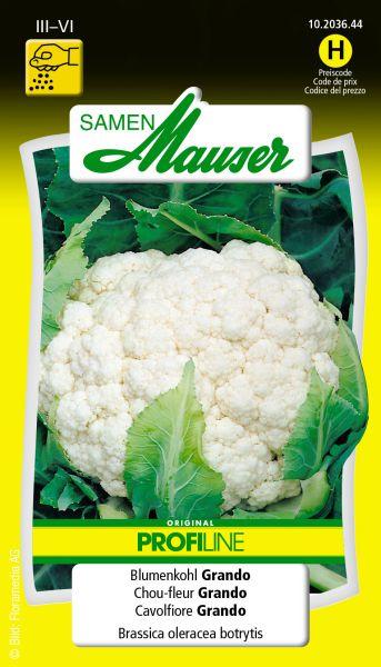Produktbild Samen Mauser Blumenkohl Grando Profiline (Gemüsesamen)