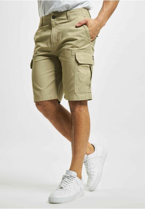 Actual product image Dickies Millerville Shorts (34)
