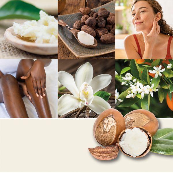 Produktbild Yankee Candle Shea Butter