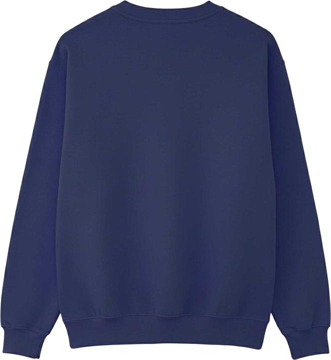 Actual product image Boys Naturally Awesome Sweatshirt (152, 158)