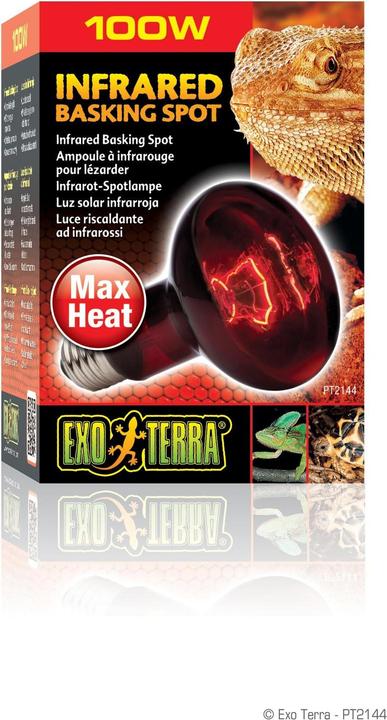 Actual product image Exo Terra Infrared Basking Spot R25/100W