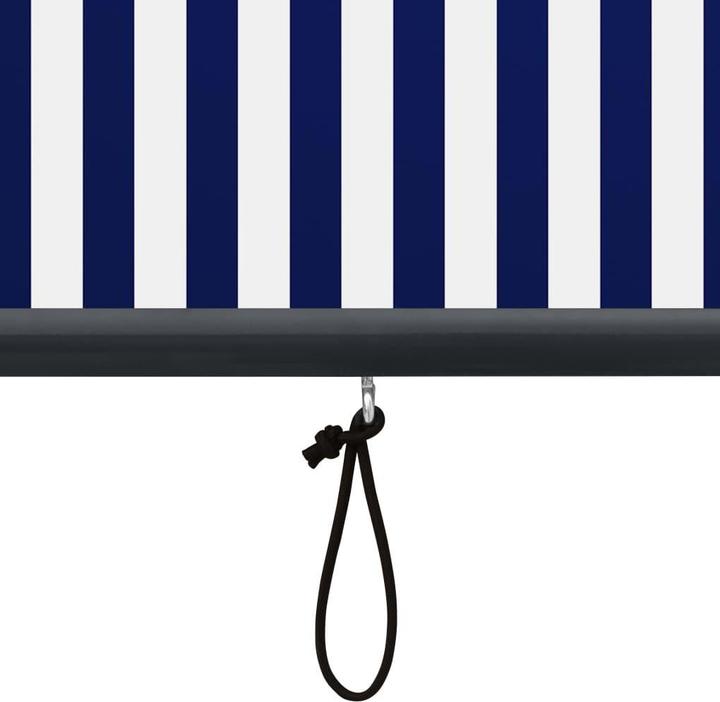 Produktbild vidaXL Aussenrollo (60 x 250 cm)