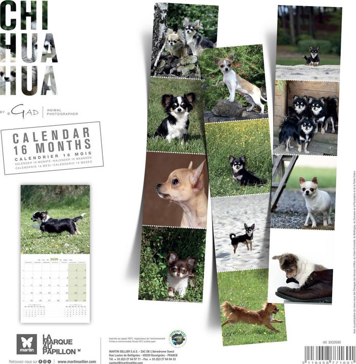 Produktbild Martin Sellier Chihuahua
