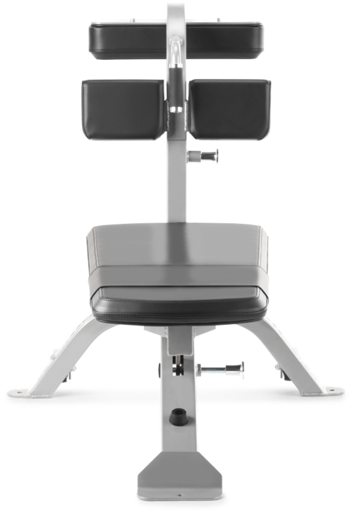 Actual product image Freemotion Epic Abdominal Bench