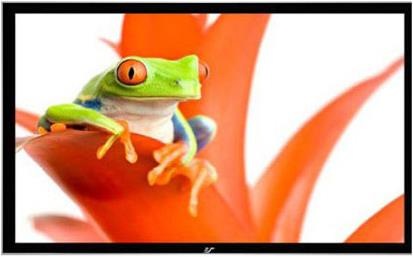 Elite Screens ezFrame (165", 16:9)