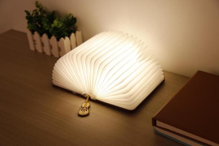Actual product image Happy Lamp Book lamp