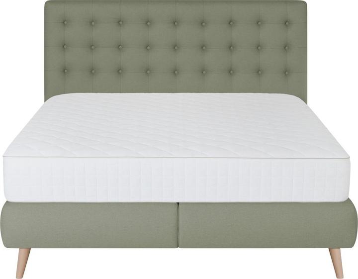 Image du produit Welnova Fustic (160 x 200 cm)