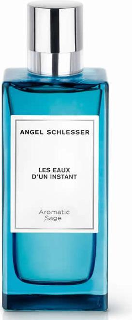 Image du produit Angel Schlesser Instant Aromatic Sage EDT 100ml (Eau de toilette, 100 ml)