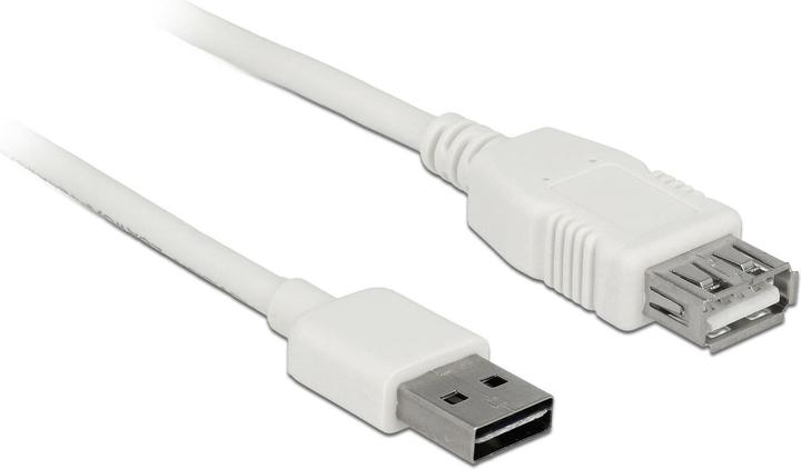 Actual product image Delock USB2.0 extension cable Easy, 1m, white (1 m, USB 2.0)