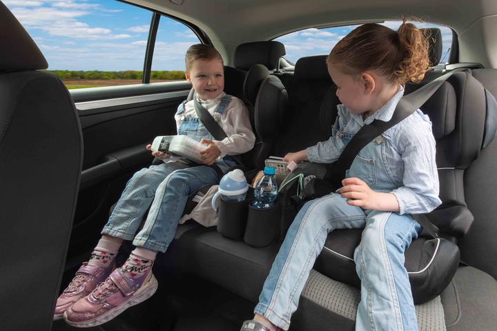 Image du produit Dooky Siège auto Banquette arrière Organiseur Panier