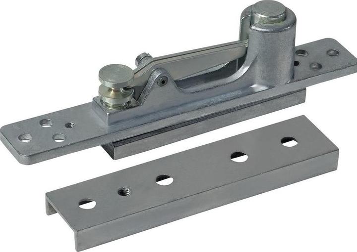 Actual product image Dormakaba Pivot hinges for swing doors (Entrance door, French window, Room door, Wooden door, Indoor)