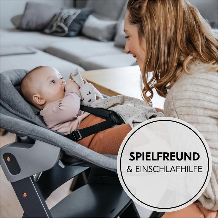Produktbild Hauck Cuddle N Play Zebra Sage